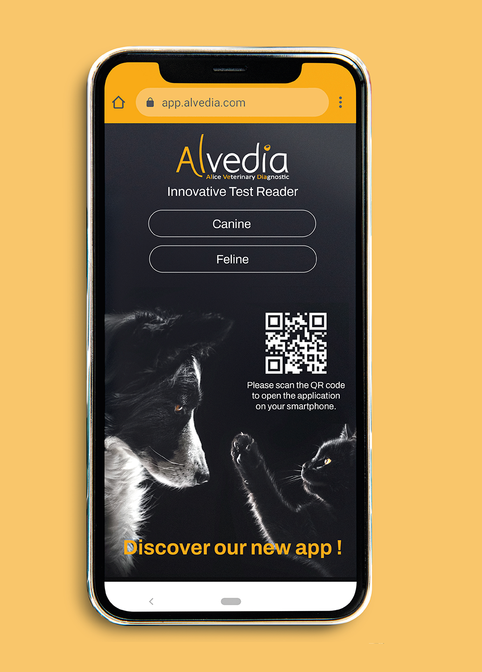 30 - Alvedia - projet