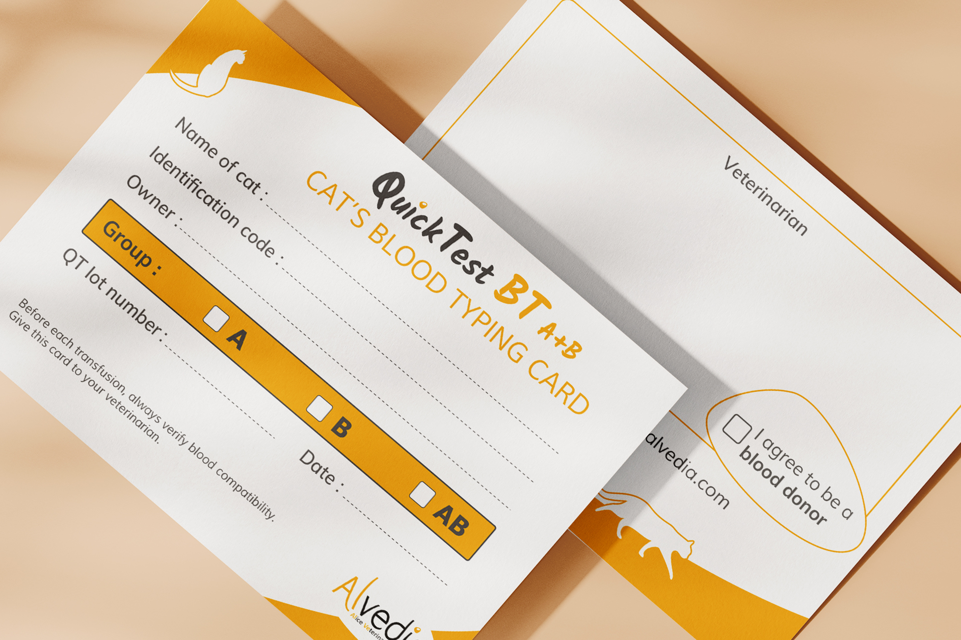 9 - Alvedia - projet
