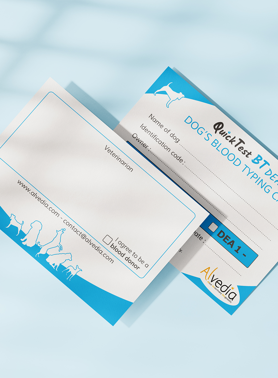 28 - Alvedia - projet