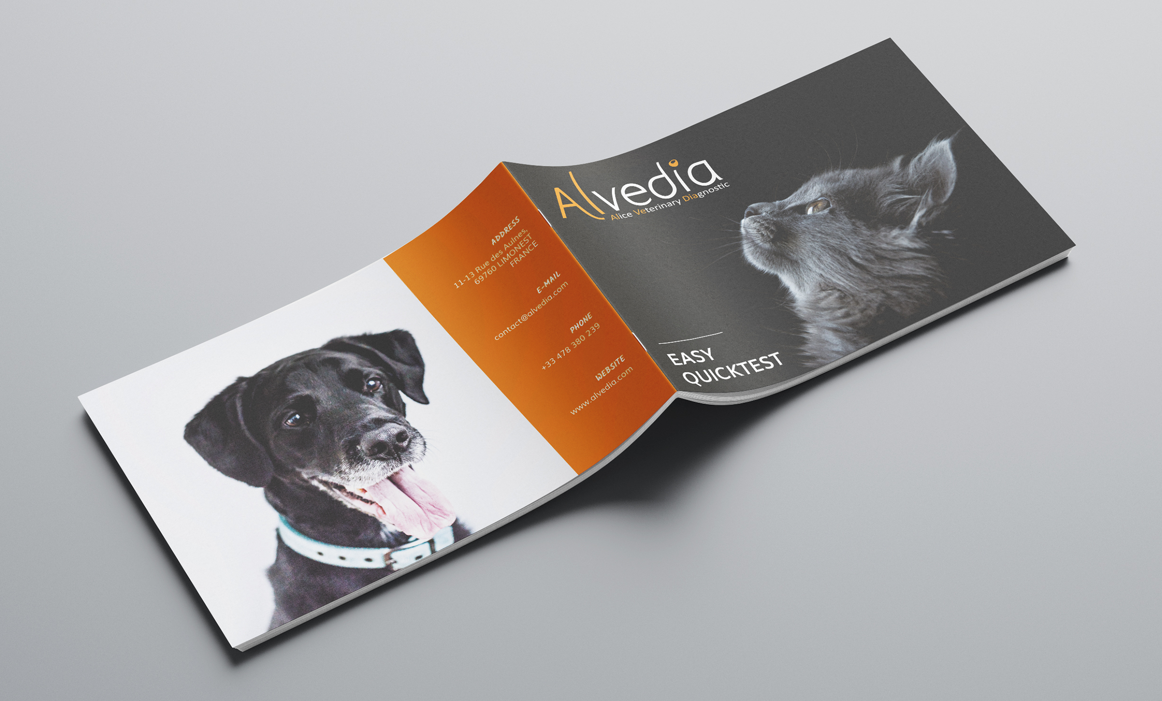 25 - Alvedia - projet