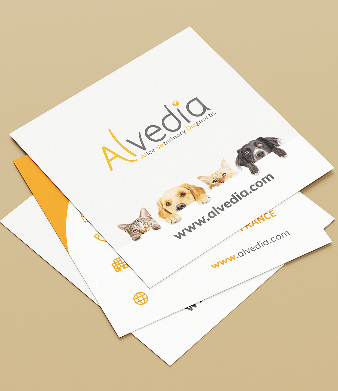 18 - Alvedia - projet