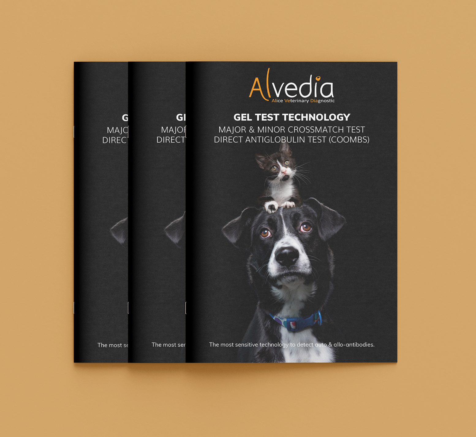 22 - Alvedia - projet