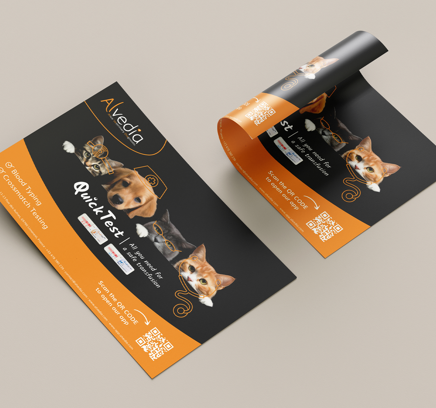 7 - Alvedia - projet
