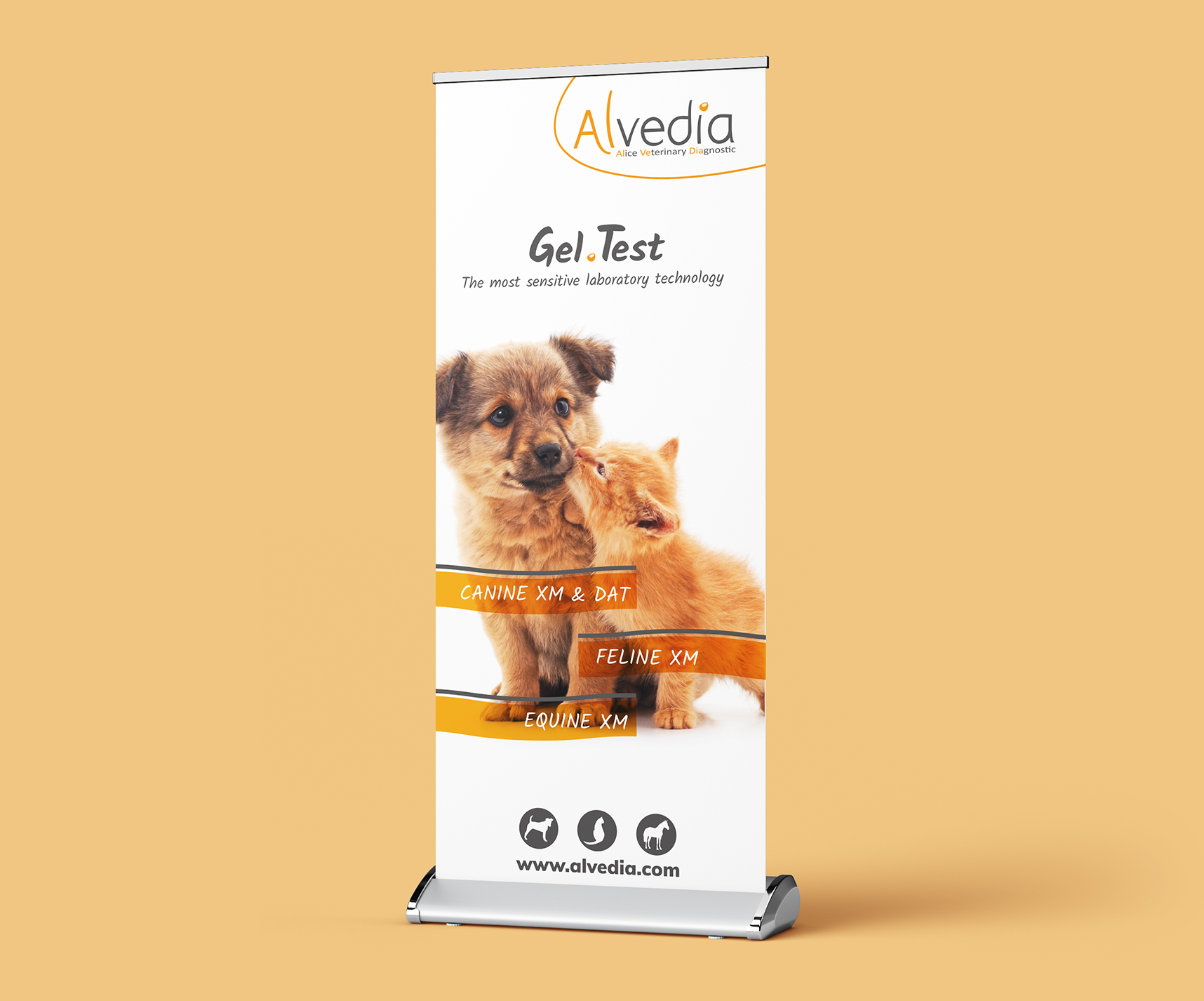 32 - Alvedia - projet
