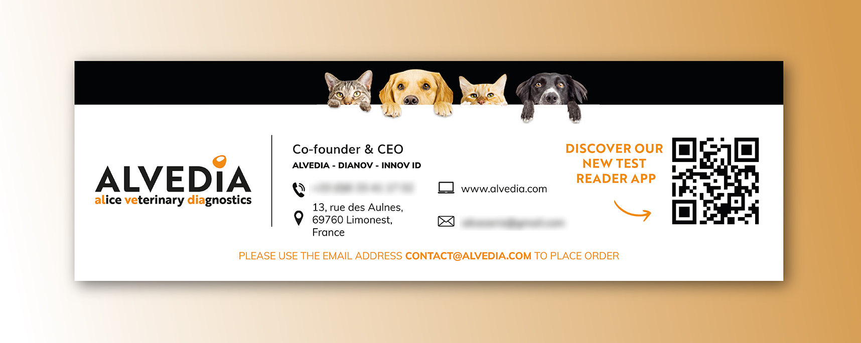 8 - Alvedia - projet