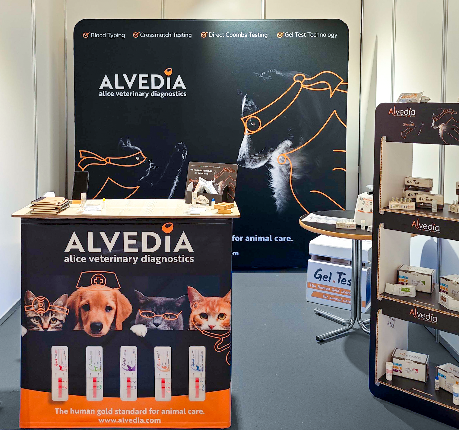 24 - Alvedia - projet