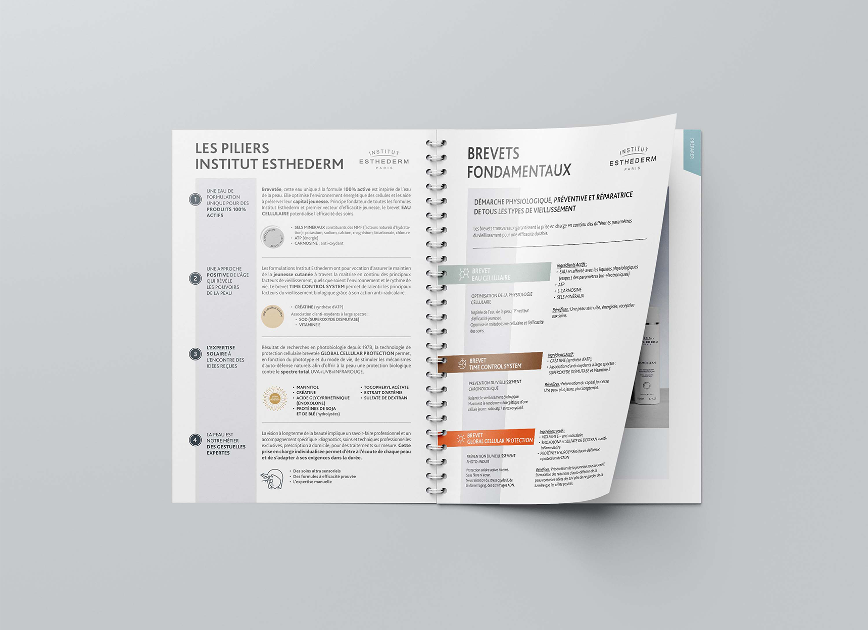 IE - book interieur