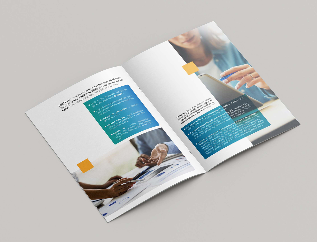 Oviepro - Brochure,double page intérieur