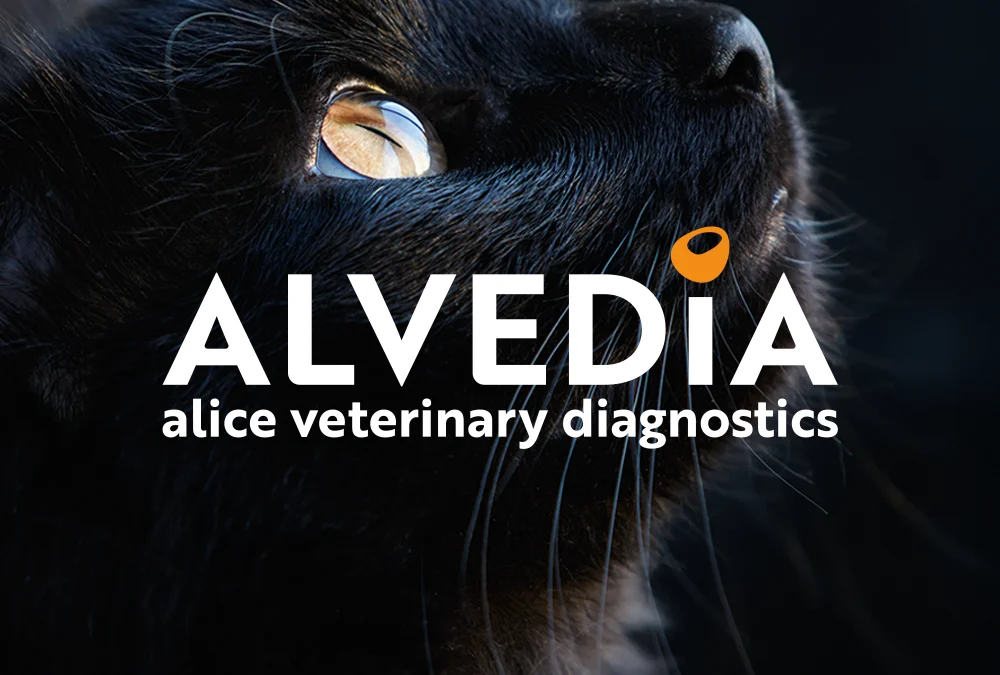 Alvedia
