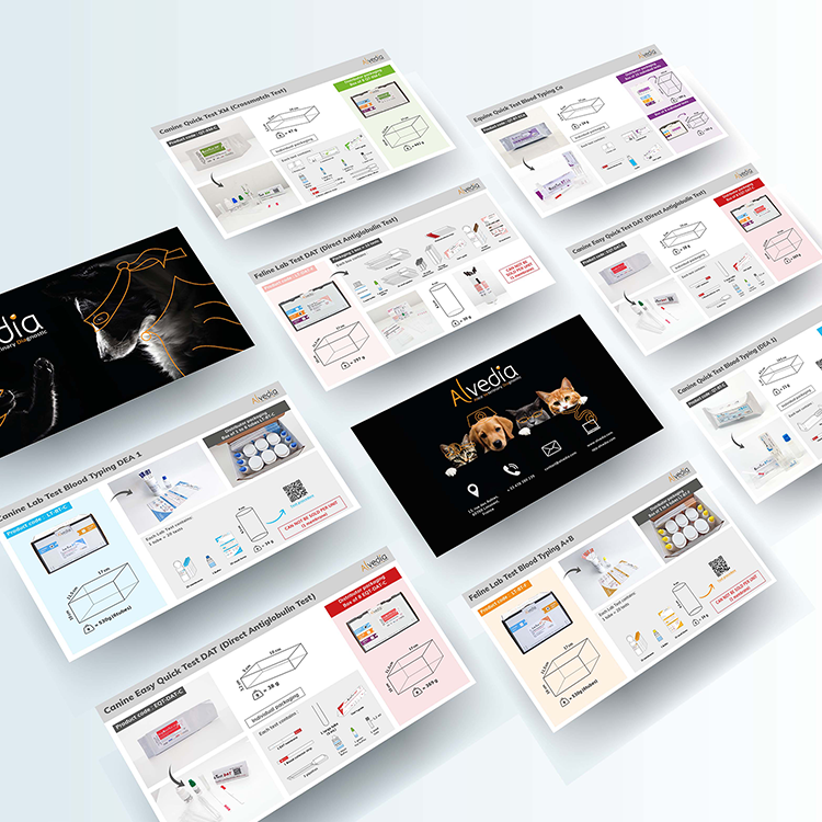 Alvedia Presentation PPT