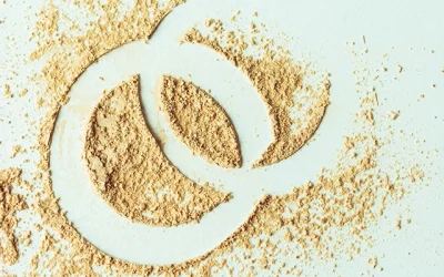 Chanel… Pas simplement Coco
