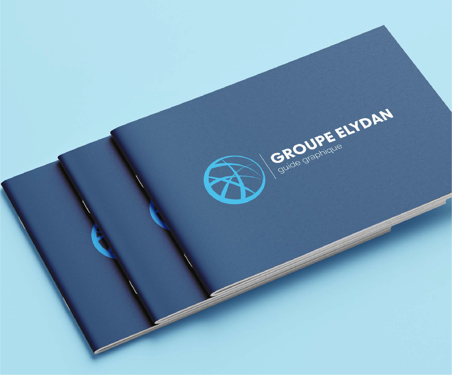 6 - Elydan - Charte graphique