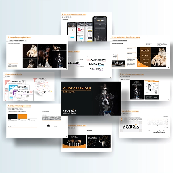 alvedia PPT presentation