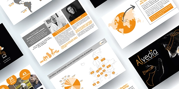 alvedia PPT presentation