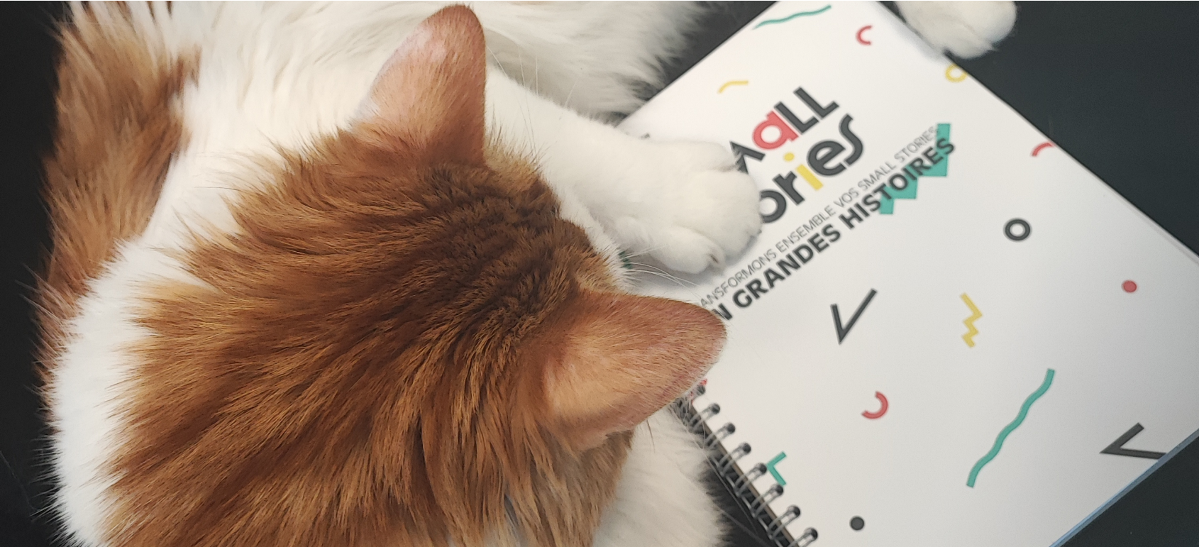 Koda carnet smallstories