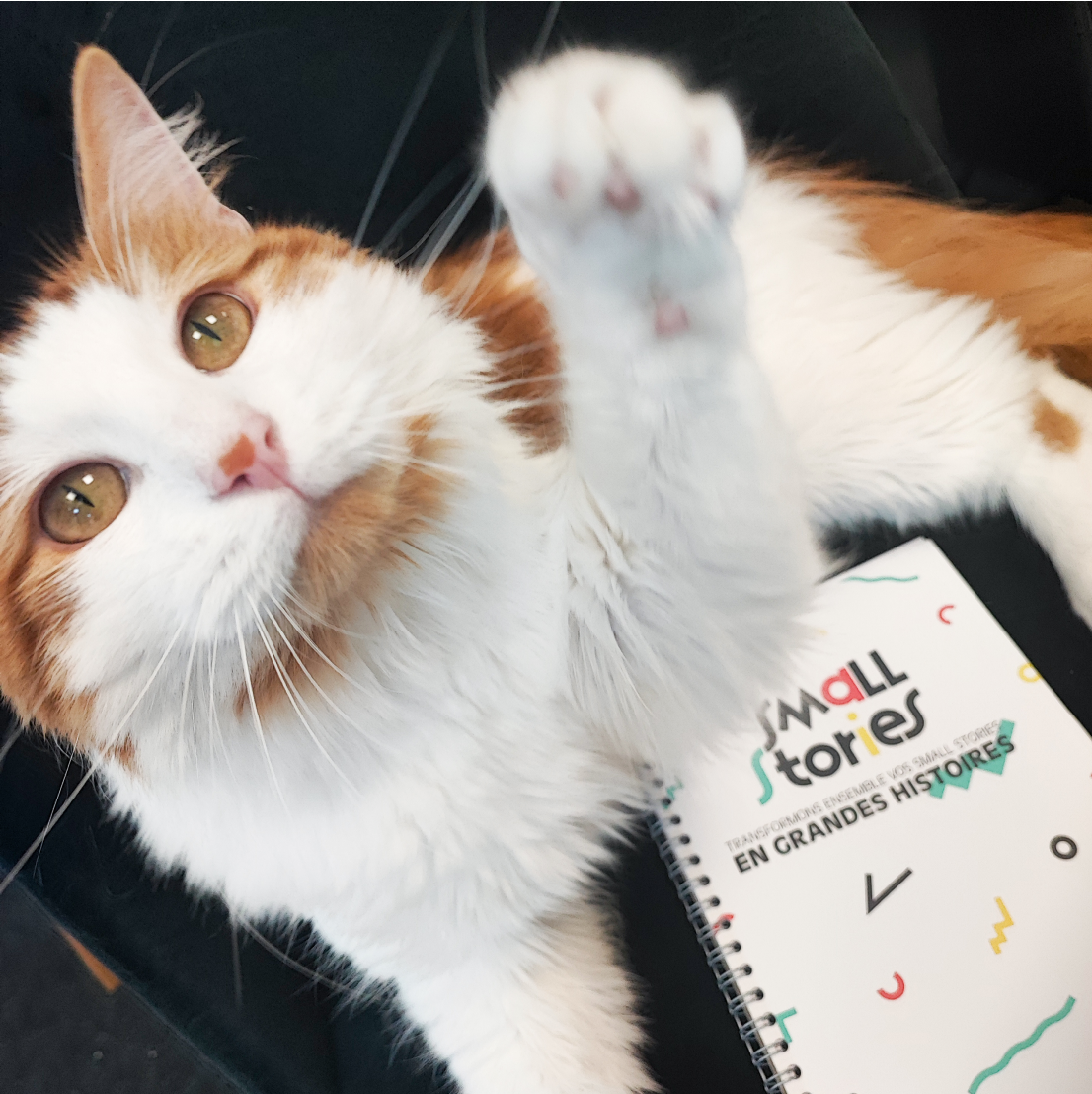 Koda carnet smallstories