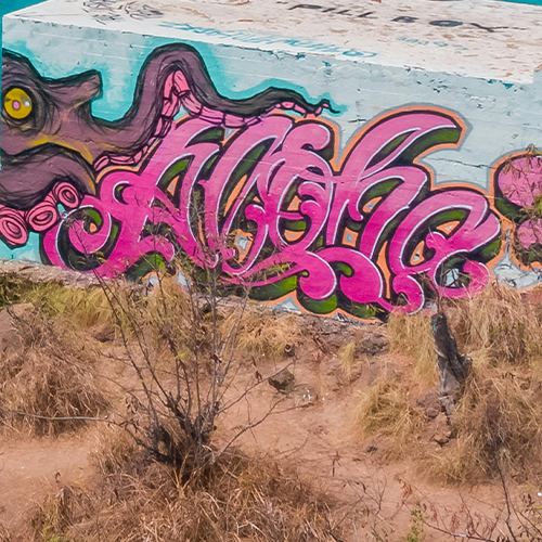 Visuel représentant le graffiti